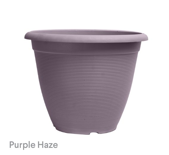 image of Helix Purple Haze Planters